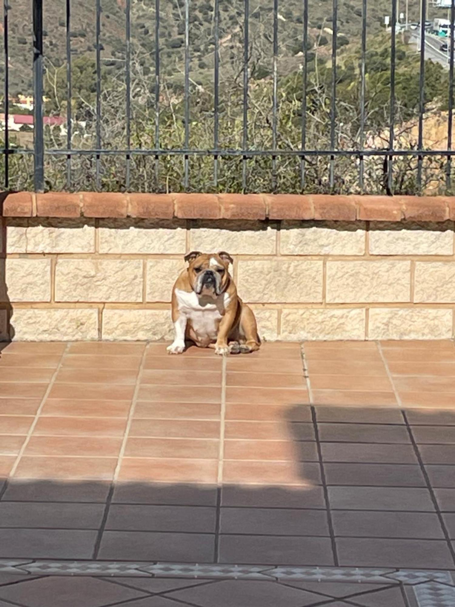 Cariad Boutique Bed & Breakfast La Cala Del Moral Экстерьер фото